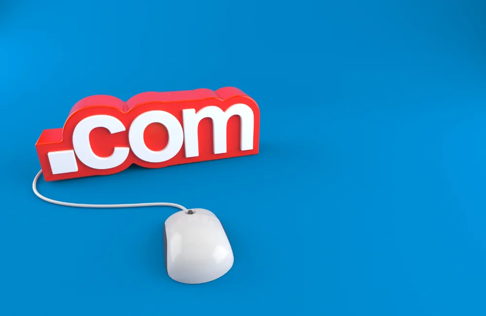.com คืออะไร